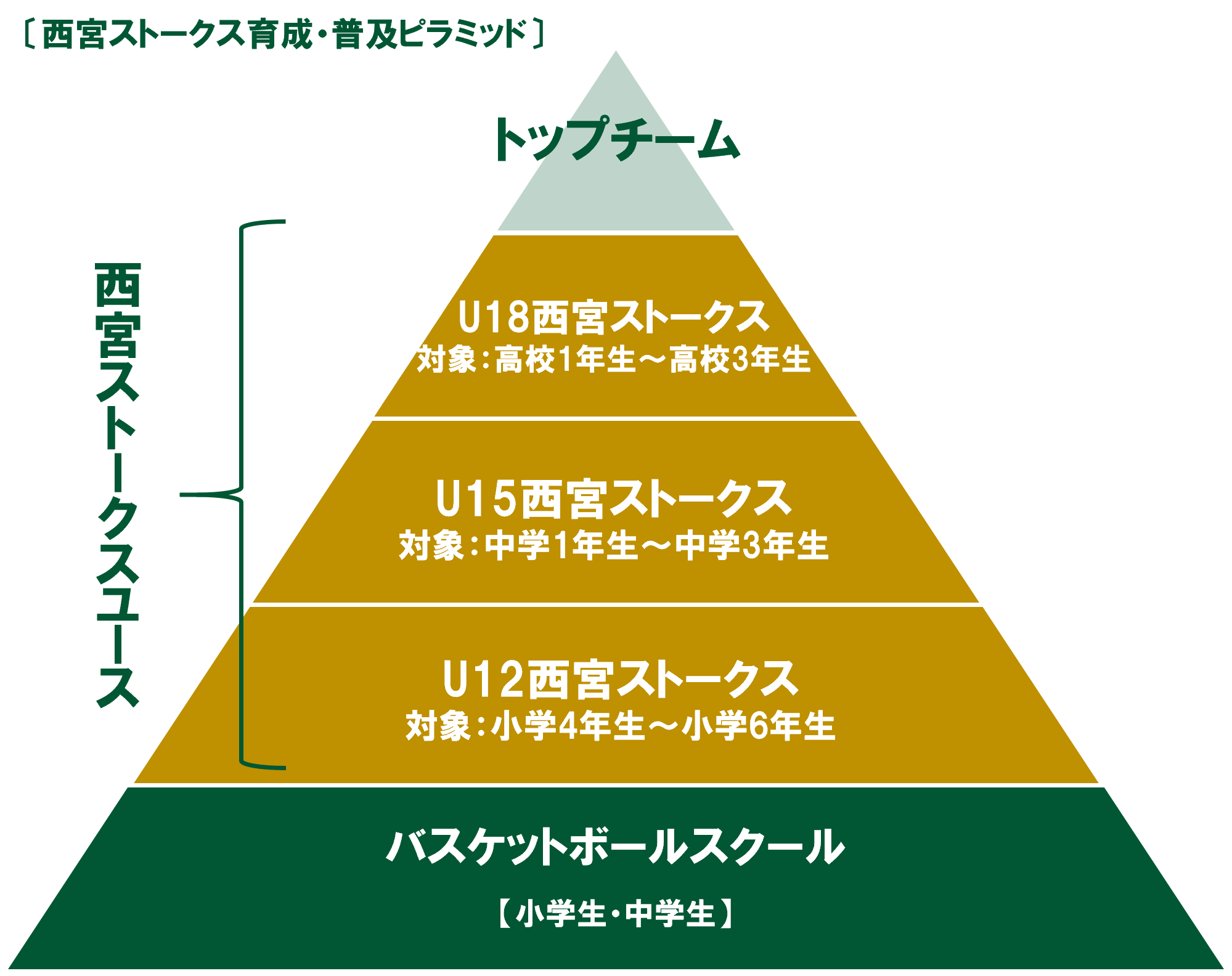 西宮ストークス育成・普及ピラミッド